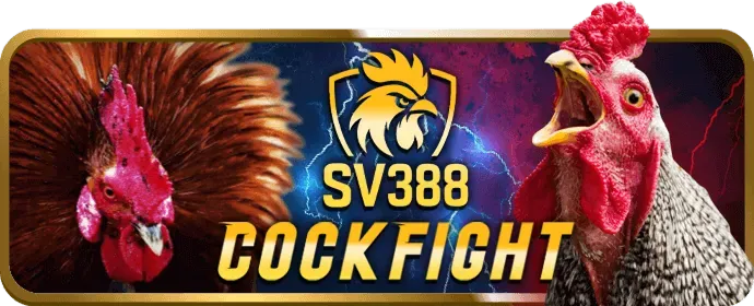 Chương trình hoàn trả hàng ngày của Vuaclub